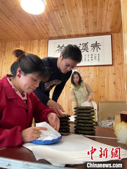 資料圖：杜贏(左二)在整理白茶餅?！×执阂?攝